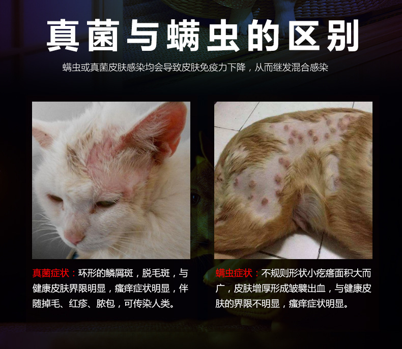 狗狗除螨喷剂去螨虫药宠物猫咪皮肤病喷雾猫耳螨体外驱虫跳蚤药