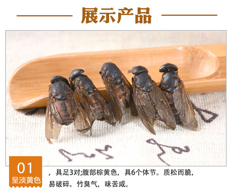 昆虫中药材牛虻虫 牛蚊子 蜚虻批发大虻虫诚信药材干净一件代发