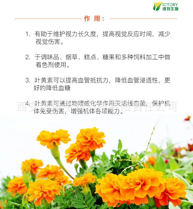 万寿菊提取物叶黄素10%