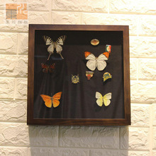 一件批发加厚加绒布蝴蝶昆虫标本实木立体相框徽章首饰胸针收藏框