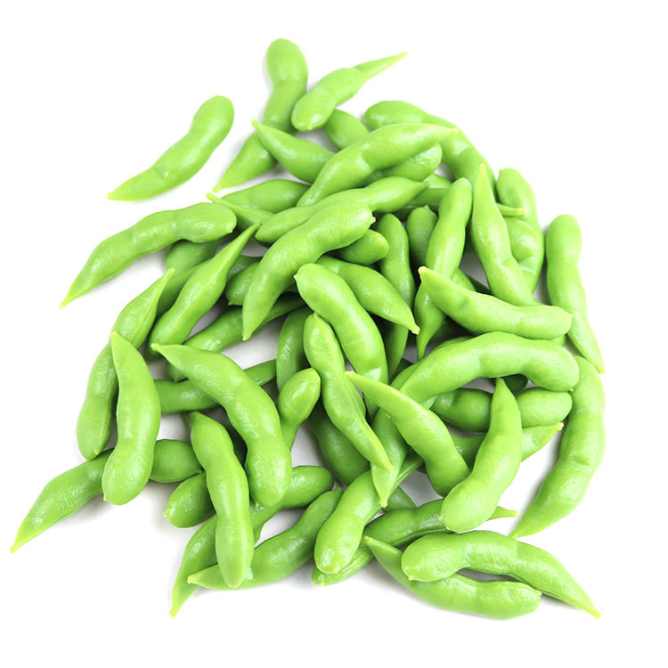 仿真食品模型 仿真毛豆 菜品装饰毛豆 假蔬菜毛豆结 成品启蒙教具