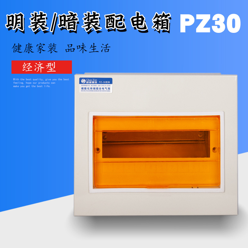 回路箱 pz30明装配电箱 家用照明强电箱优质开关箱暗0.8-0.