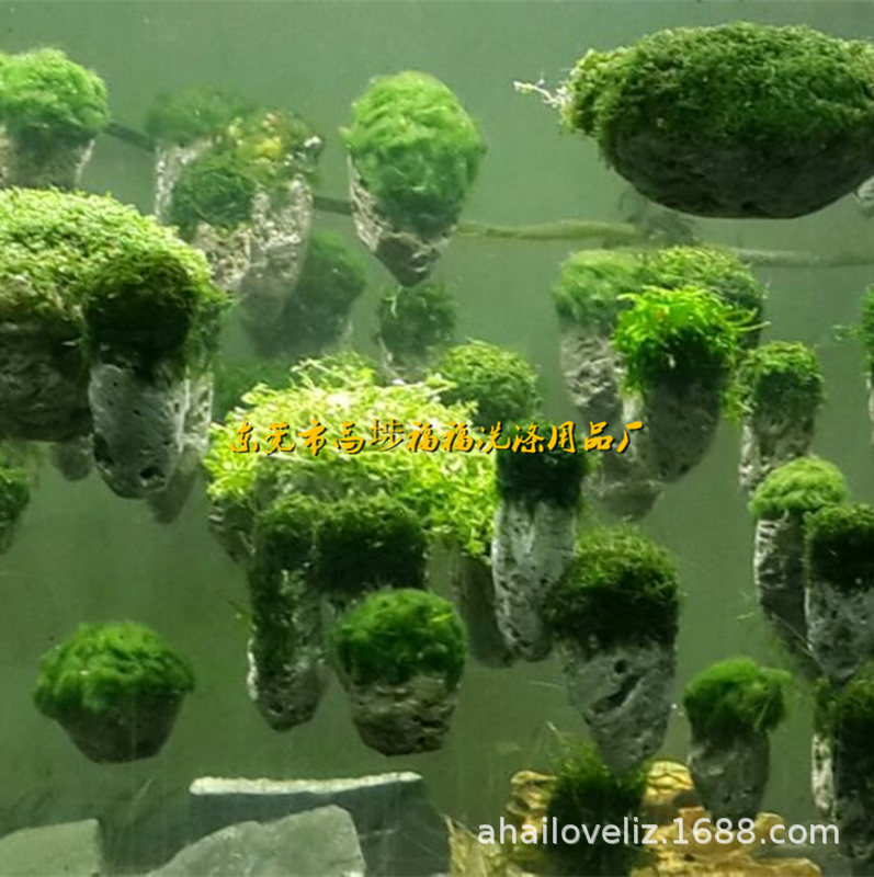 阿凡达浮石悬浮石鱼缸造景鱼缸漂浮石水族装饰造景石仿真水草石头