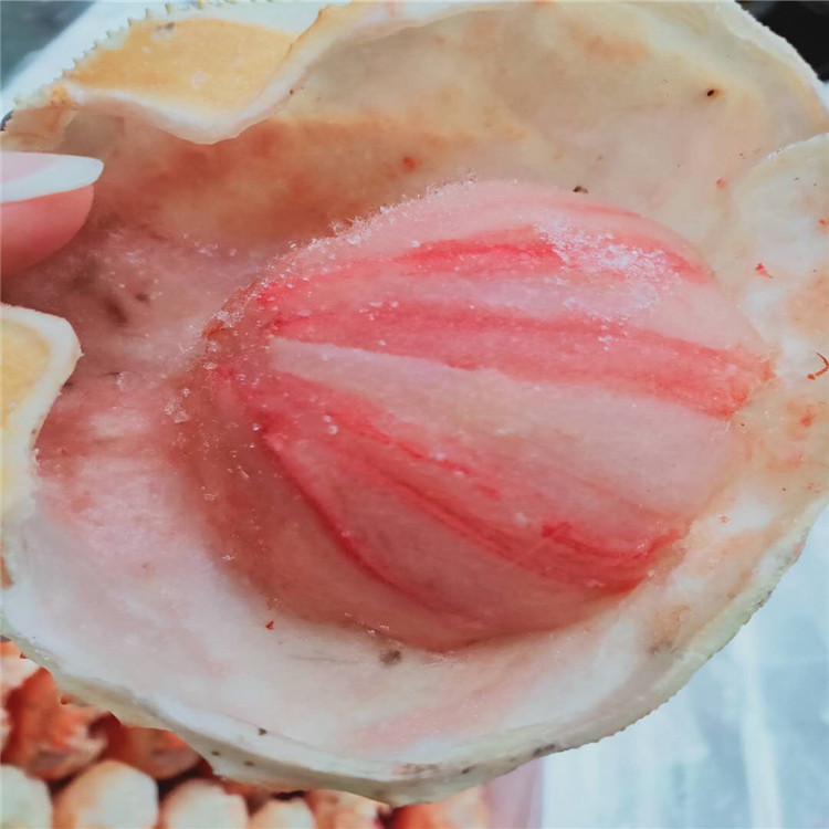 蟹宝50g 雪蟹宝 冻雪蟹宝 蟹肉 冻品海鲜批发