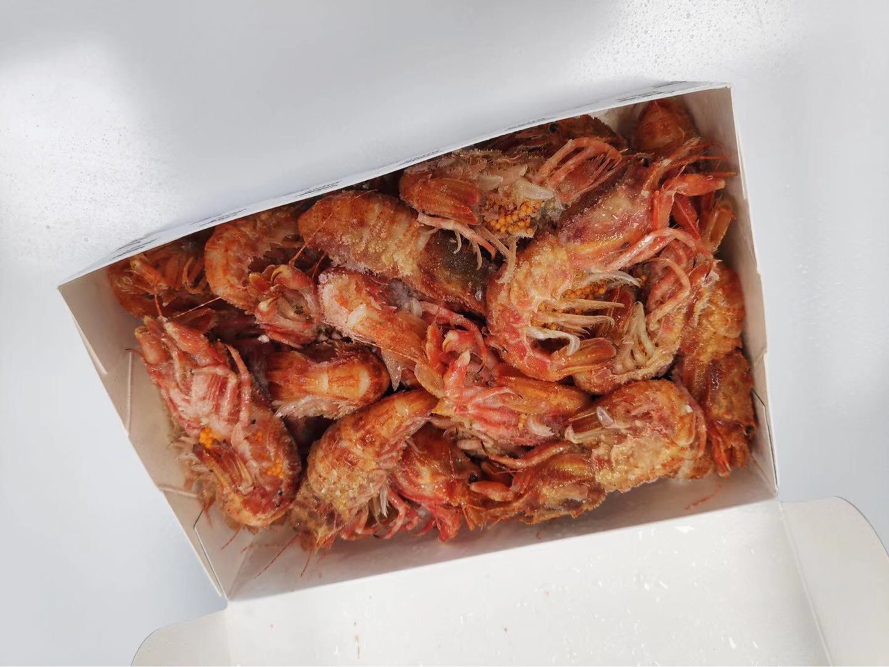 俄罗斯虾爬子,小熊虾,甲壳虾