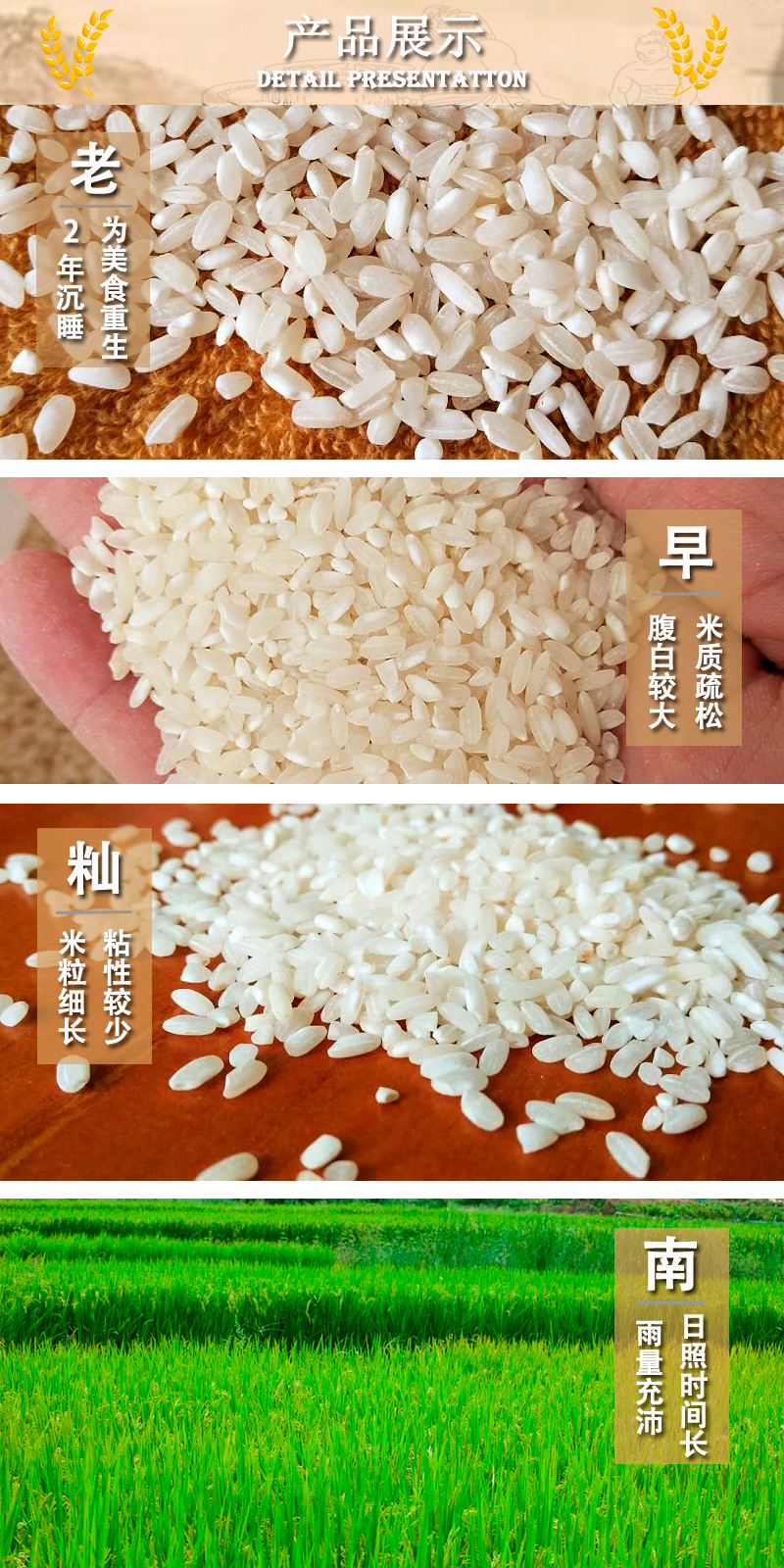 厂家直供泰沙肠粉河粉石磨肠粉专用陈米珍桂米矮桂潮米大米10斤