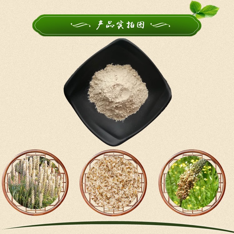 圆苞车前子壳粉 现货供应 洋车前子壳粉 清雅生物 一公斤起订