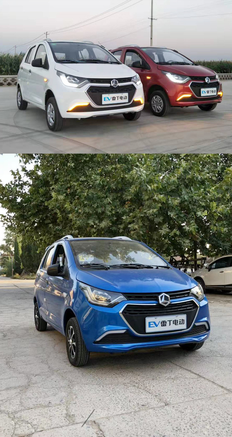 雷丁d70电动汽车老年人代步四轮车油电混合电动汽车新能源全封闭