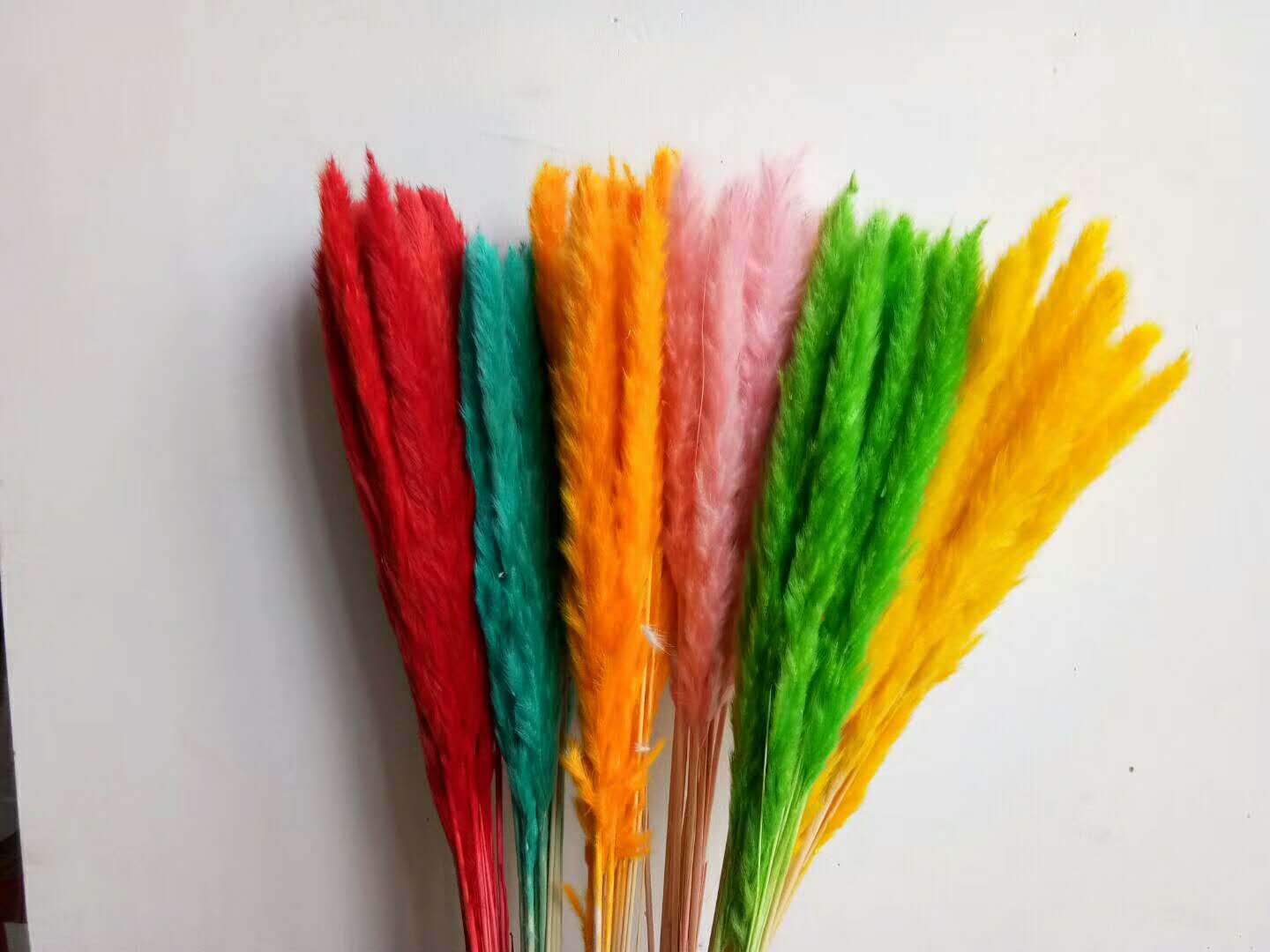 植物果壳染色剂永生花染料干花染料500克/包