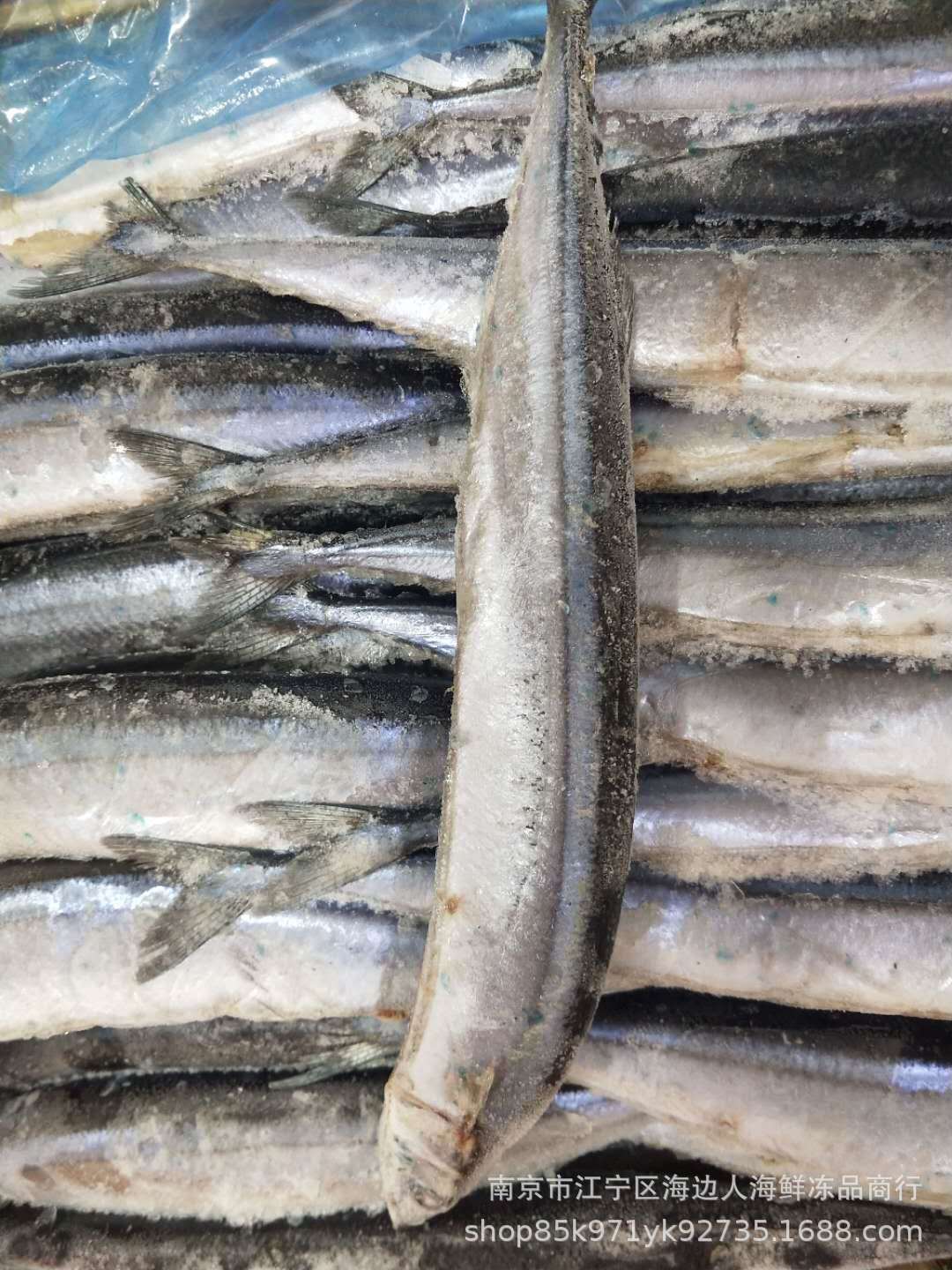 厂家一手货直销批发冷冻秋刀鱼鲜冻青鱼速冻秋刀鱼串50件送一件