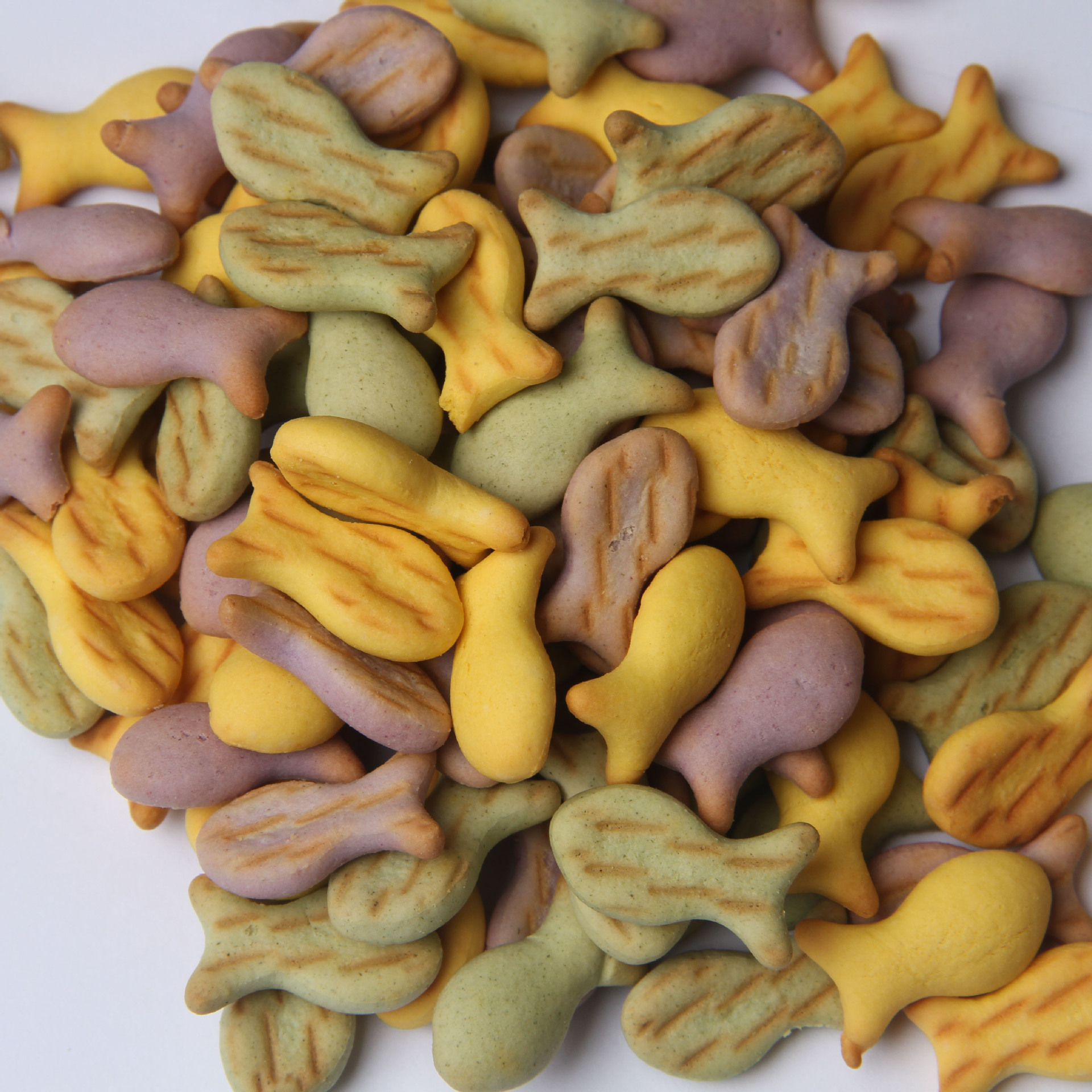 散装彩虹小馒头10斤彩色普通型饼干儿童零食食品 厂家直销 贴牌