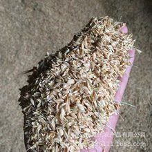 现货新鲜散装稻壳 栽培基质牛羊饲料 天然植物材料袋装酿酒级稻壳