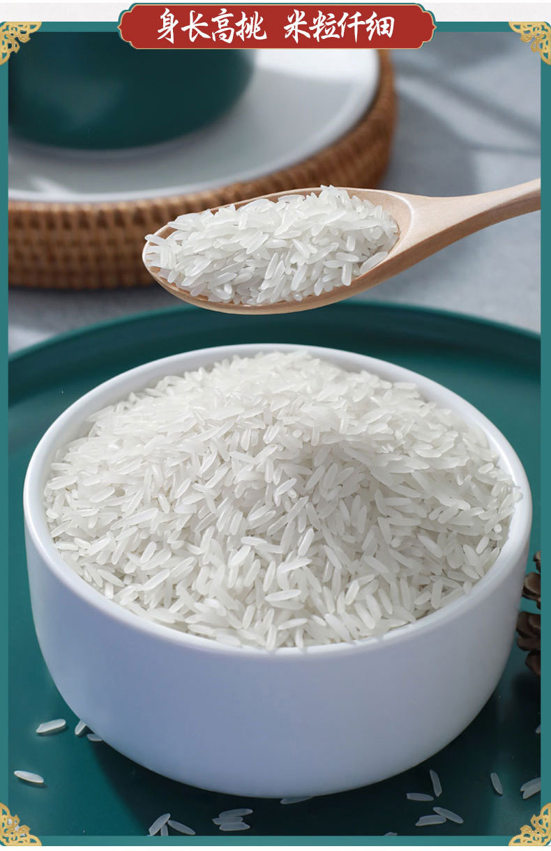 稻金香 优质丝苗米5kg精选美香粘广西大米10斤装长粒香香米晚籼米