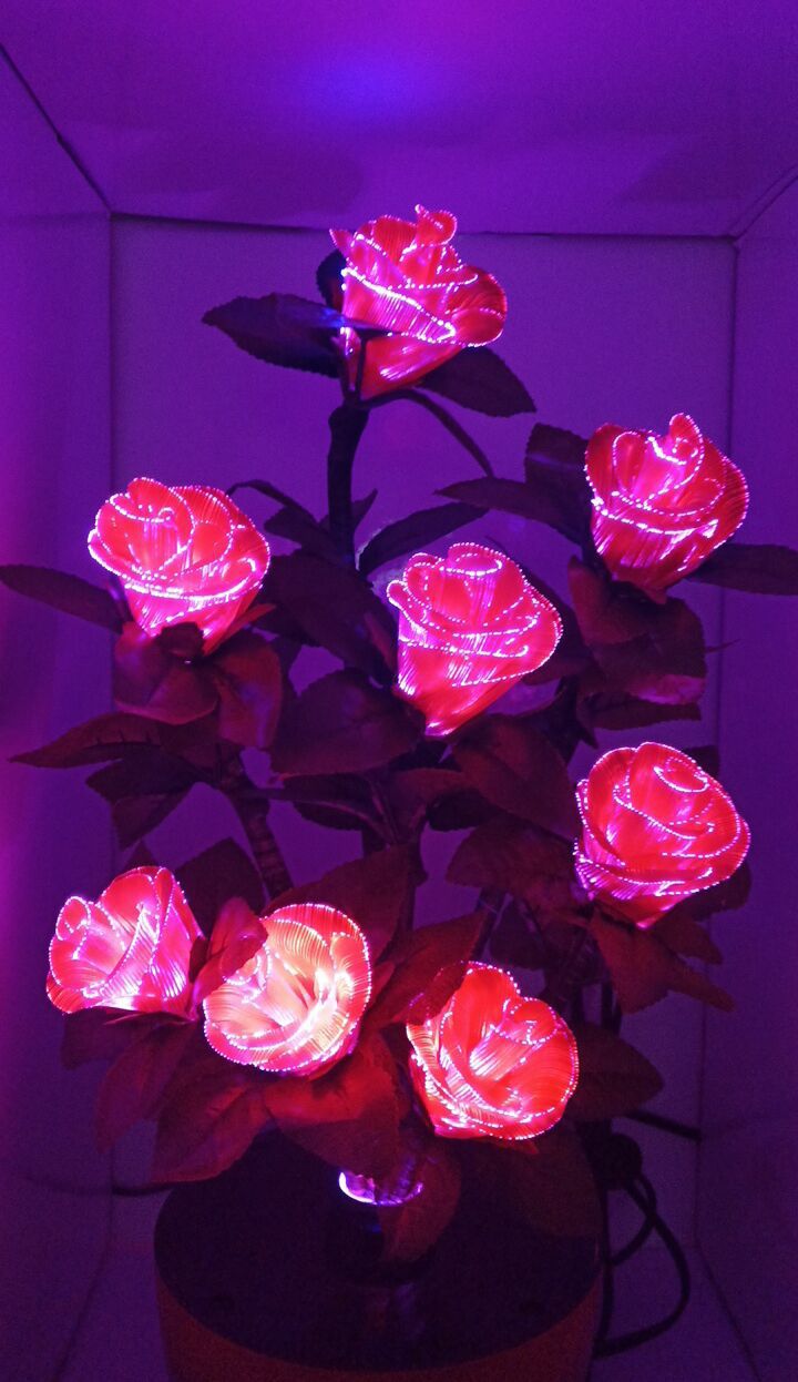 仿真发光8头玫瑰花led光纤38节礼物粉红玫瑰家居装饰灯