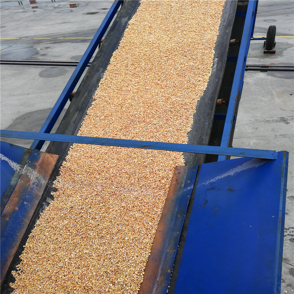玉米皮带装车输送机8