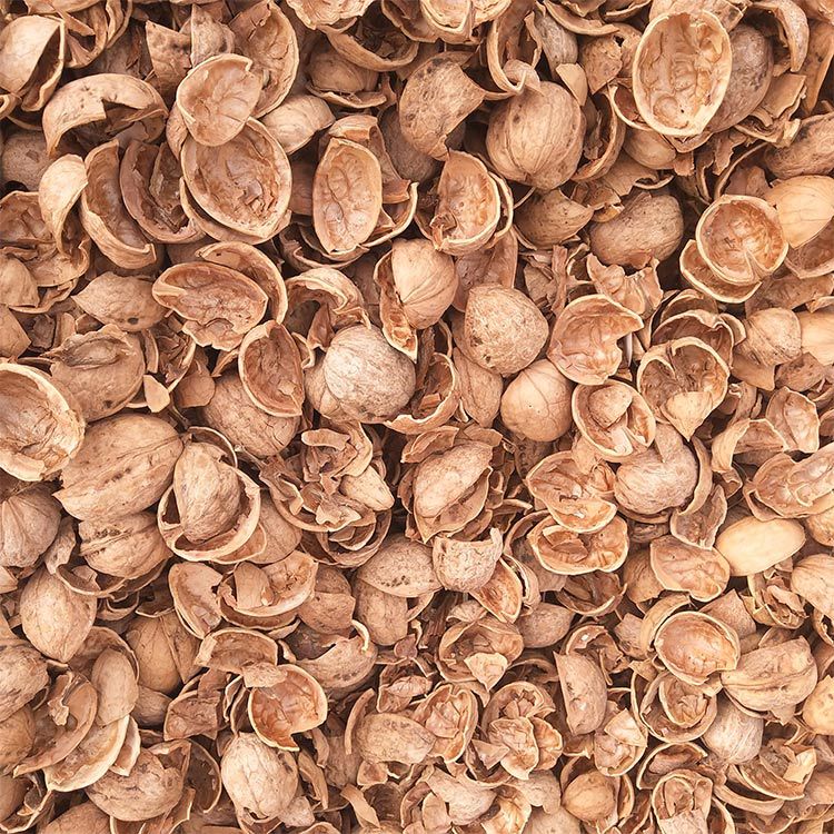 批发果壳 果壳粉 核桃皮颗粒 汽车坐垫核桃壳颗粒