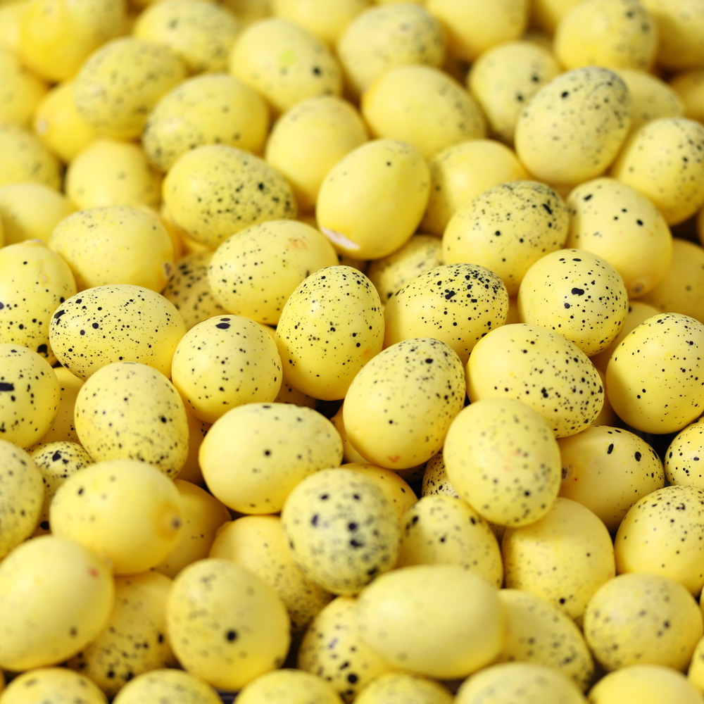 仿真小鸟蛋金蛋鹌鹑鸽子蛋模型写生绘画道具微景观摆设彩色鸟蛋