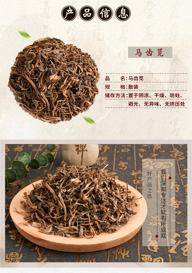 马齿苋 厂家批发马齿苋冷被药材马齿苋 量大价优农产品马齿笕