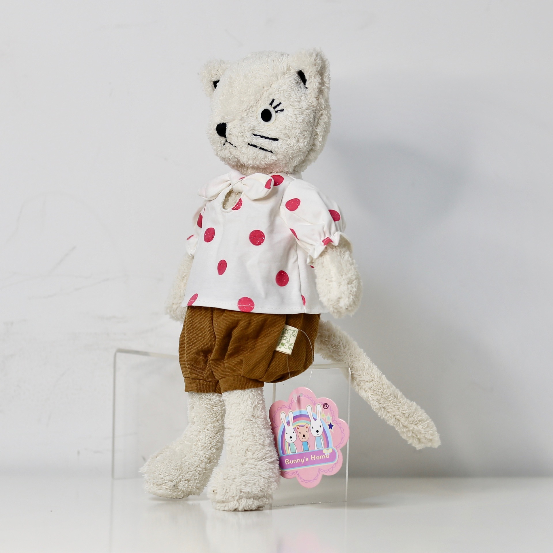 2019新款诺亚猫公仔猫咪毛绒玩具小猫咪布娃娃安抚睡觉公仔靠垫