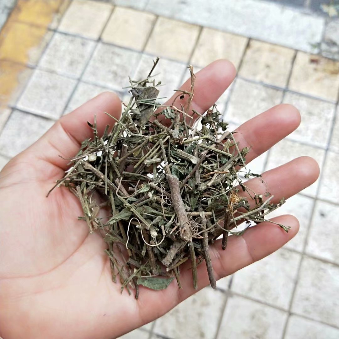 中药材路边菊田边菊马兰头每件500克