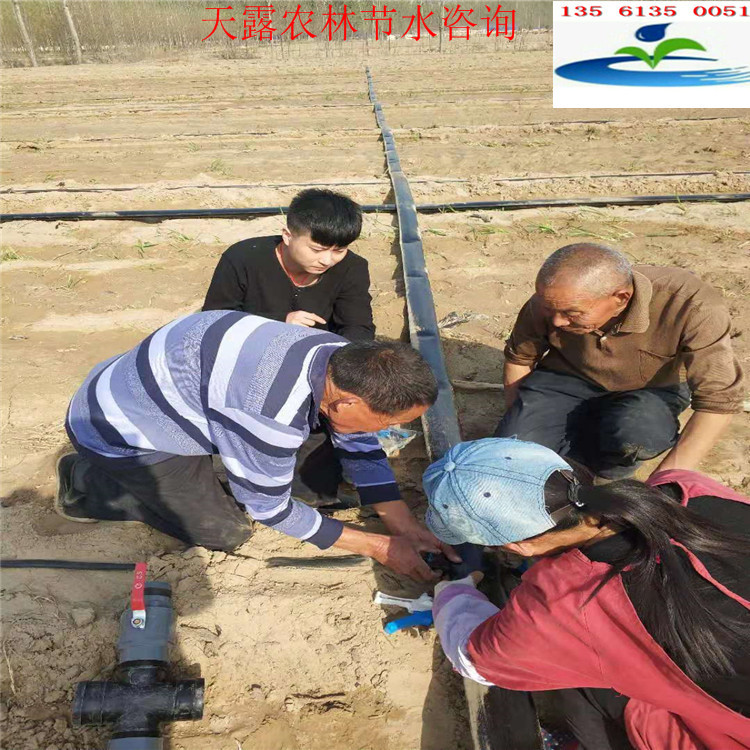 凤台县滴灌用输水软管 pe软带 萝卜地滴灌带