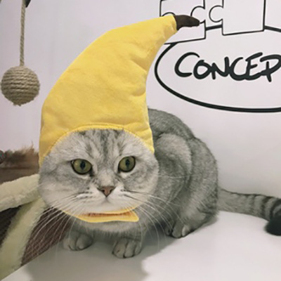 New Amazon Pet Hat Creative Transformation Funny Cat Teddy Festival Funny Headdress Banana Headgear