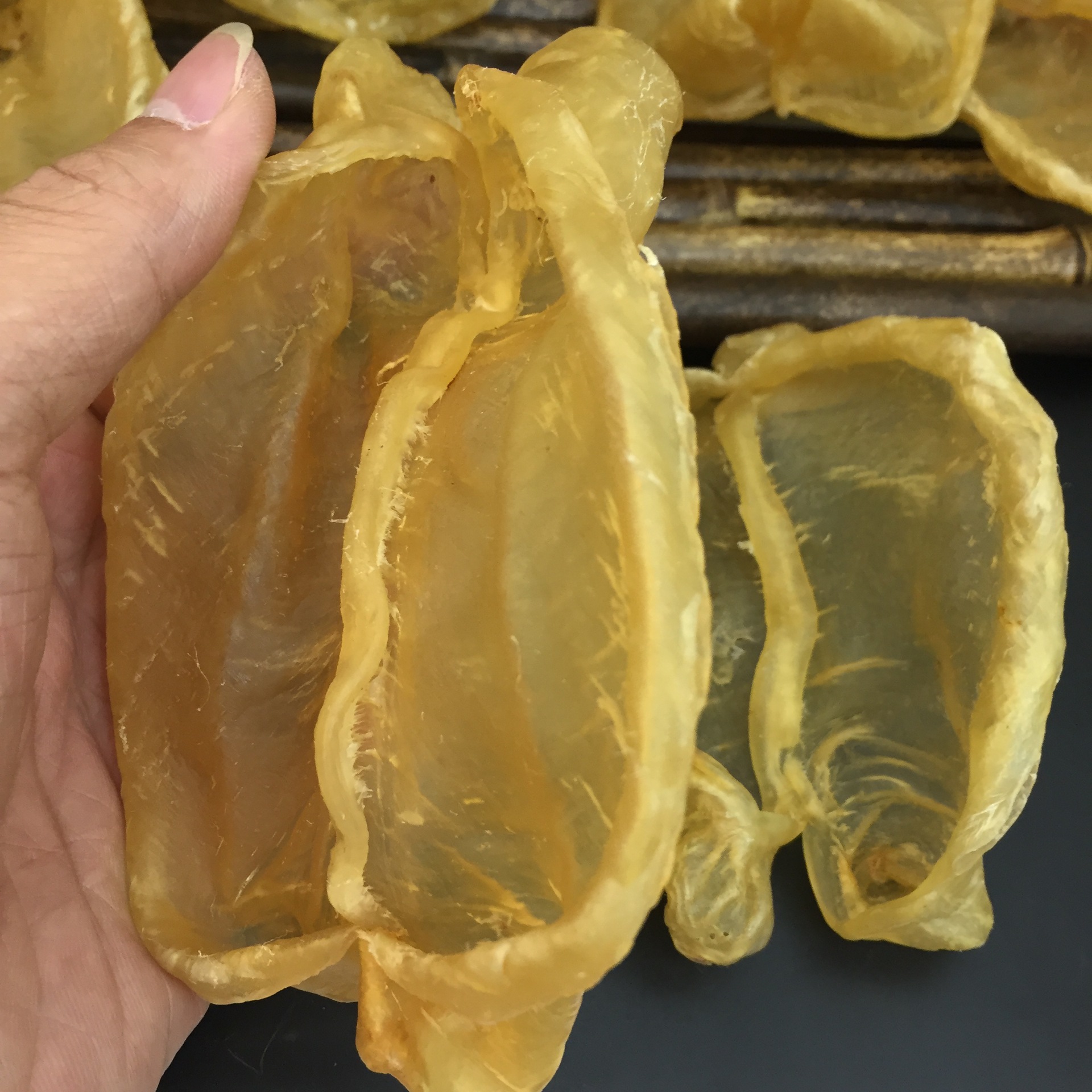 批发渠道深海天然野生 黄花胶片 花胶鸭泡肚鱼胶鱼肚鱼漂干贷500g