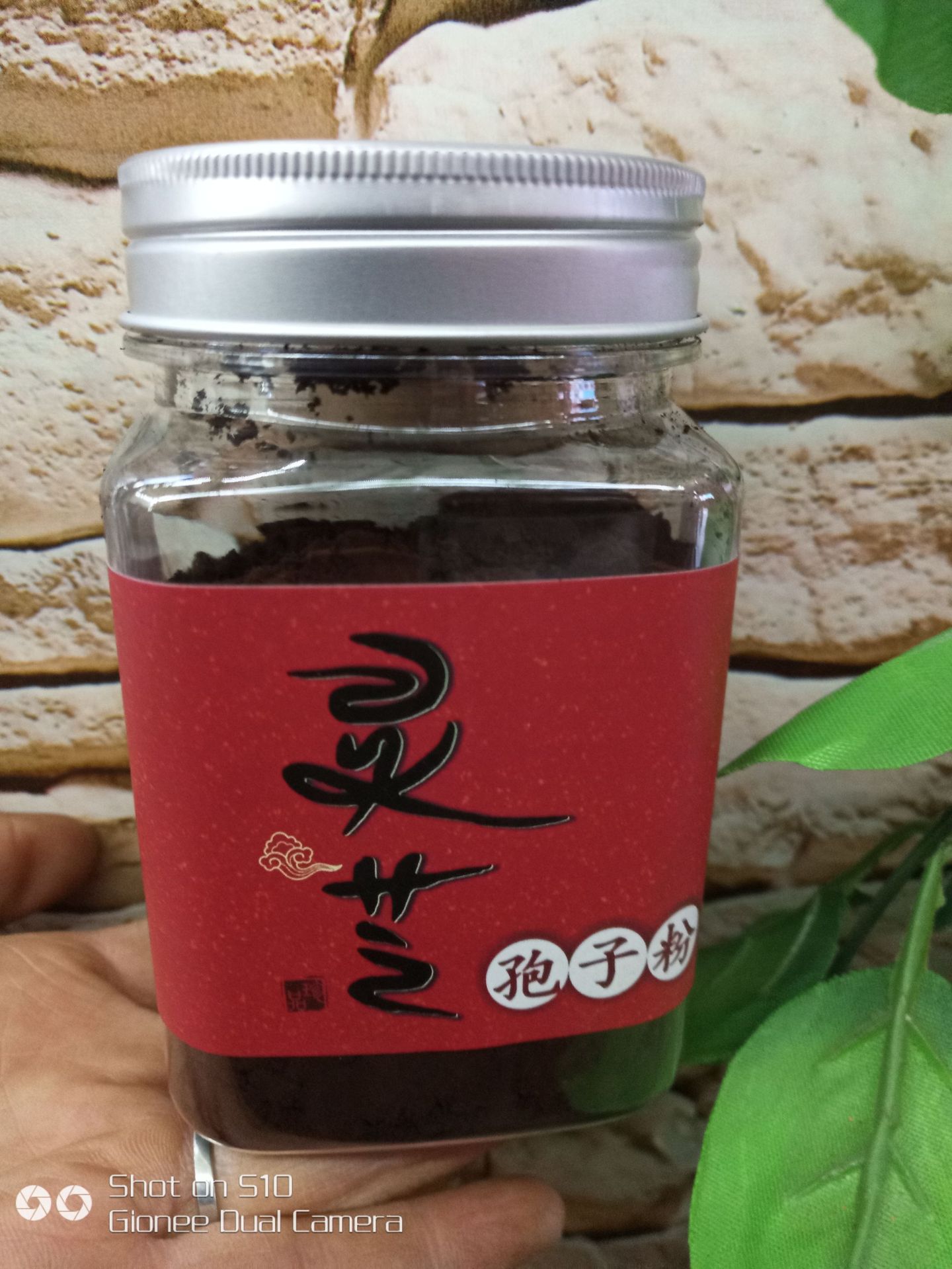 东北特产灵芝孢子粉 长白山孢子粉 孢子粉产地直发-阿里巴巴