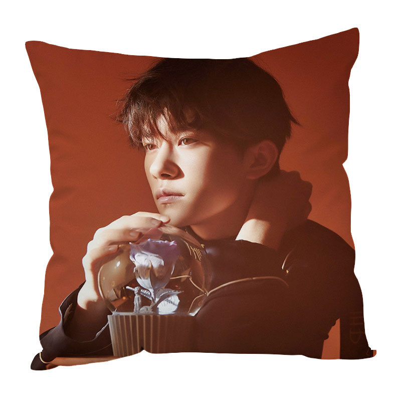 tfboys易烊千玺周边同款抱枕靠垫定制来图定做照片海报生日礼物品