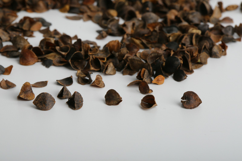 批发甜荞麦壳熟壳荞麦皮枕头填充物纺织物填充料装保健枕填充料