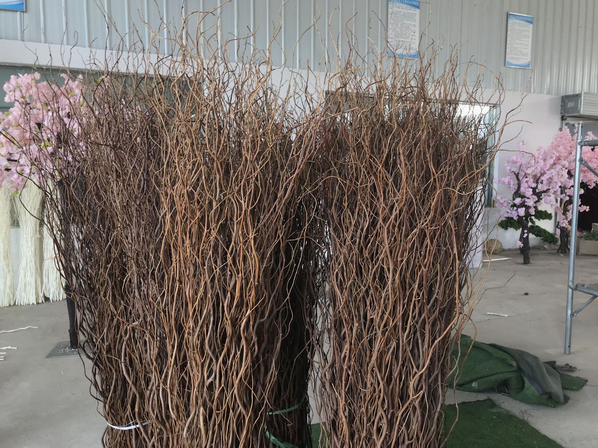 天然带皮龙柳干枝 婚庆婚礼装饰天然树枝批发