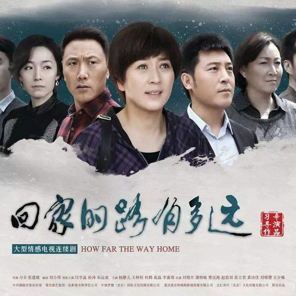 大型都市情感电视剧 回家的路有多远 dvd光盘碟片完整版 闫学晶