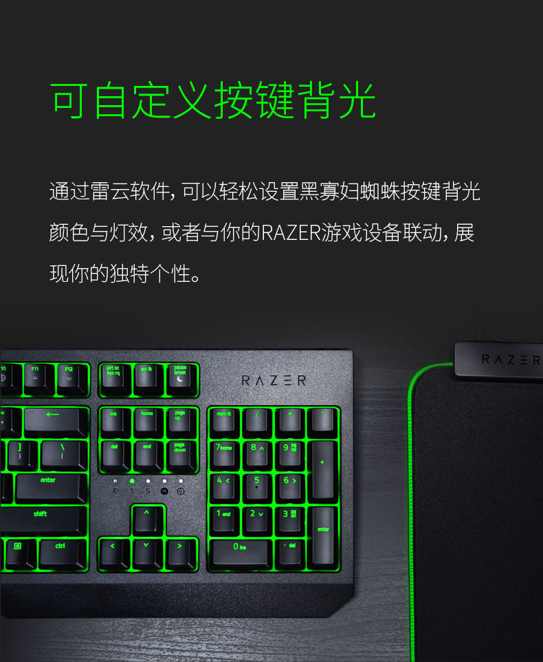 品牌 razer/雷蛇 型号 黑寡妇标准版 货号 rz03-02630100-r3m1 上市