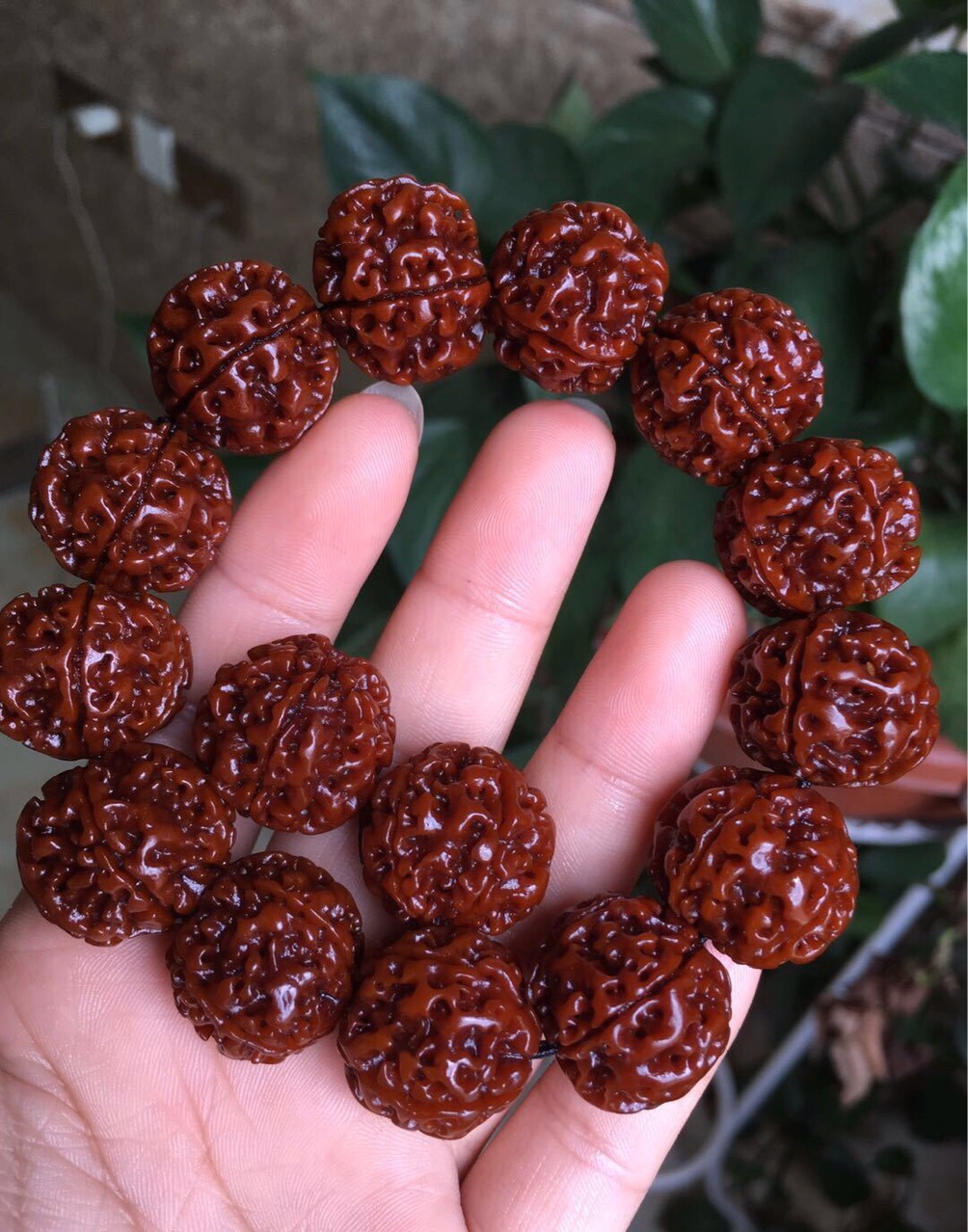 艺然尼泊尔双龙爆肉机刷大金刚手串佛珠尺寸21左右送备籽好卖的东