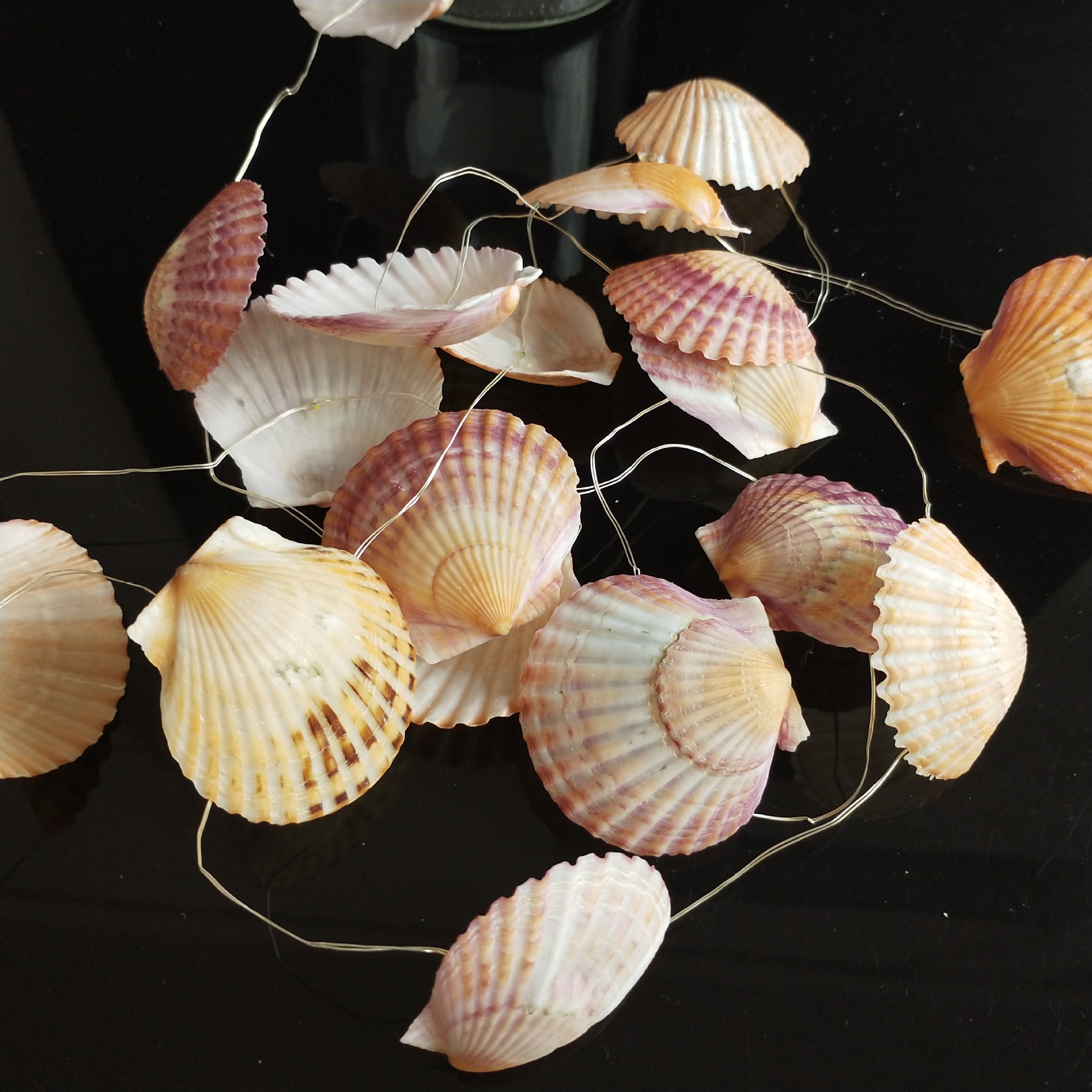 厂家货源 led铜线灯 天然海螺贝壳灯串 卧室餐厅节日氛围电池灯