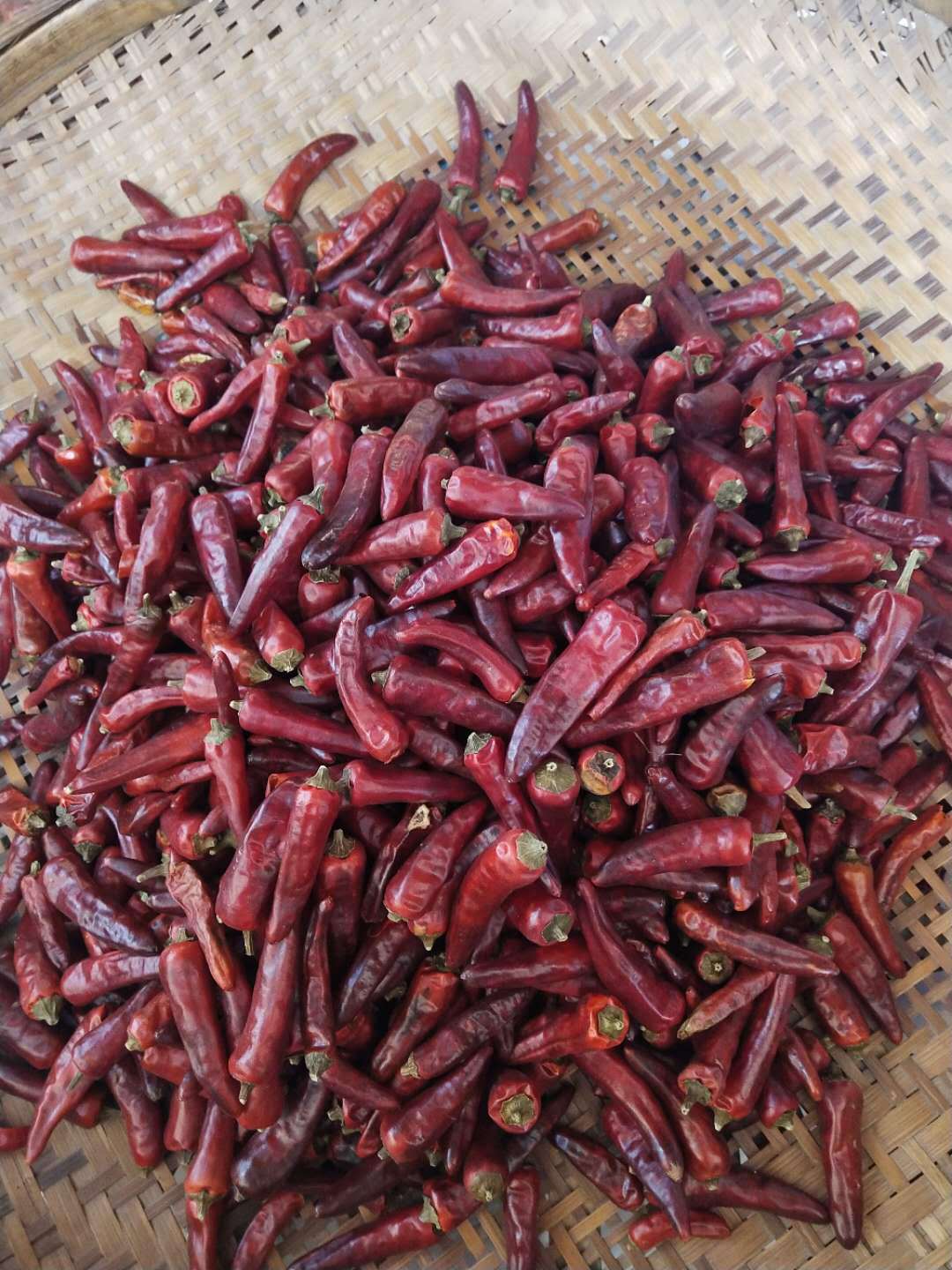 重庆直发石柱红3号重庆红辣椒火锅底料增辣干辣椒批发1份500g