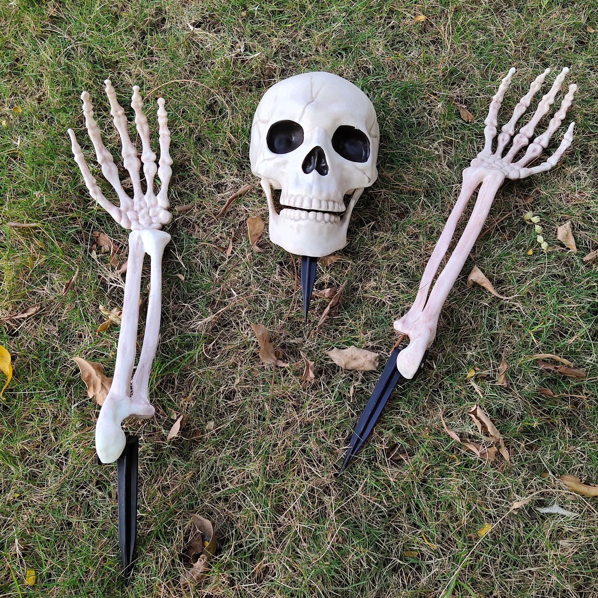 万圣节骷髅骨架 仿真人体塑料骷髅装饰鬼屋密室道具人体骨架装饰