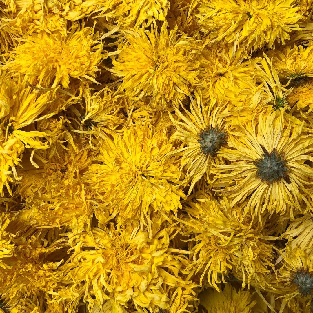 3f9dc97c42db2e6cddc485665c398c