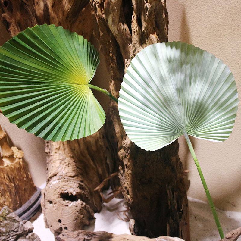 单片扇棕叶植物墙配材棕榈叶仿真大树叶橱窗插花装饰叶子厂家批发