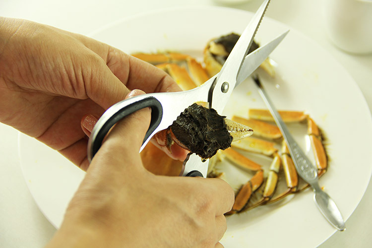 吃蟹工具 不锈钢大闸蟹蟹剪蟹针蟹钳蟹二件套海鲜剪刀厂家直销