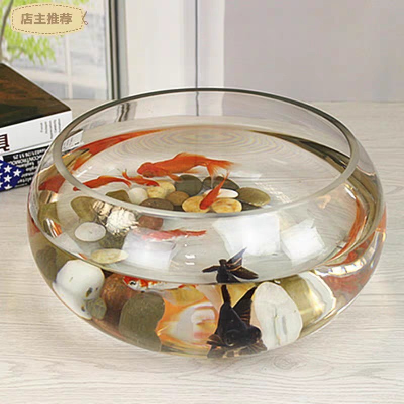 Generation Fish Tank Transparent Glass Office Living Room Creative Hydroponics Drum Cylinder round Turtle Jar Mini Desktop Fish Tank