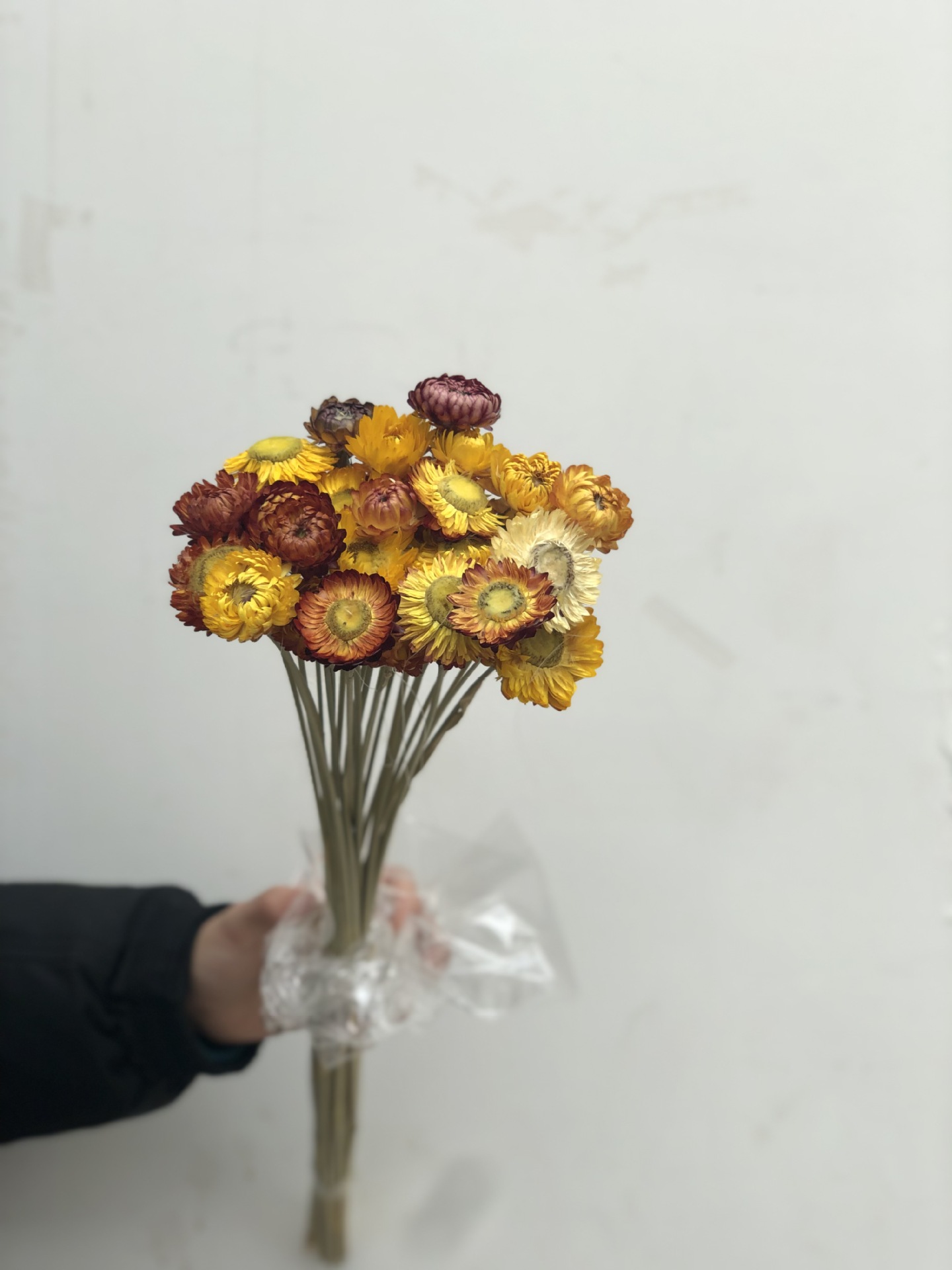 【麦秆菊】干花麦干菊干花菠萝菊小雏菊小菊花干花七彩菊太阳花