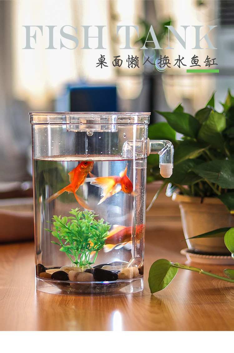 产地货源创意塑料懒人迷你小型生态造景观赏办公室桌面家用鱼缸