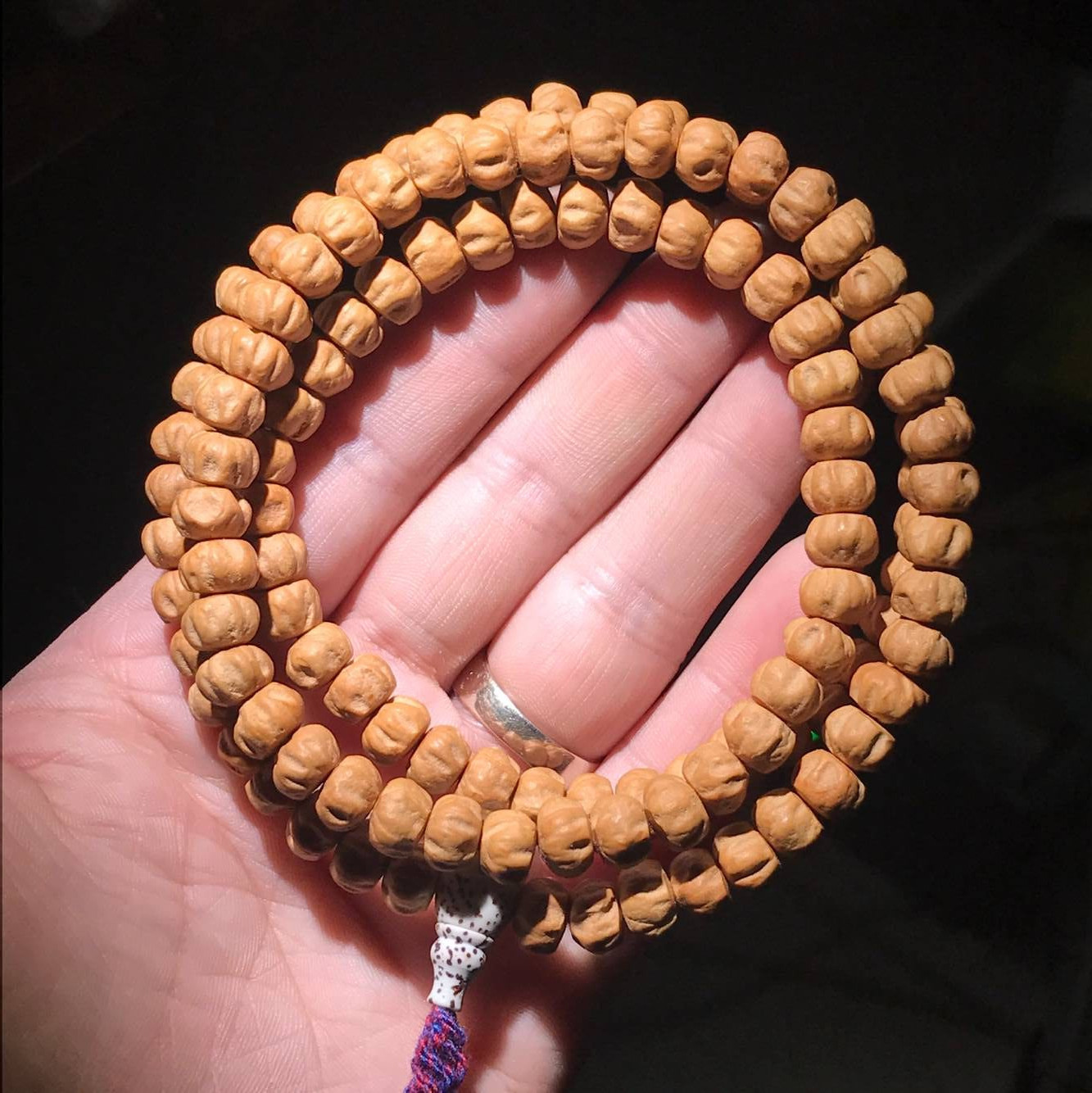 热振寺柏香籽手工精修清理高密高油籽百香子108原籽菩提佛珠