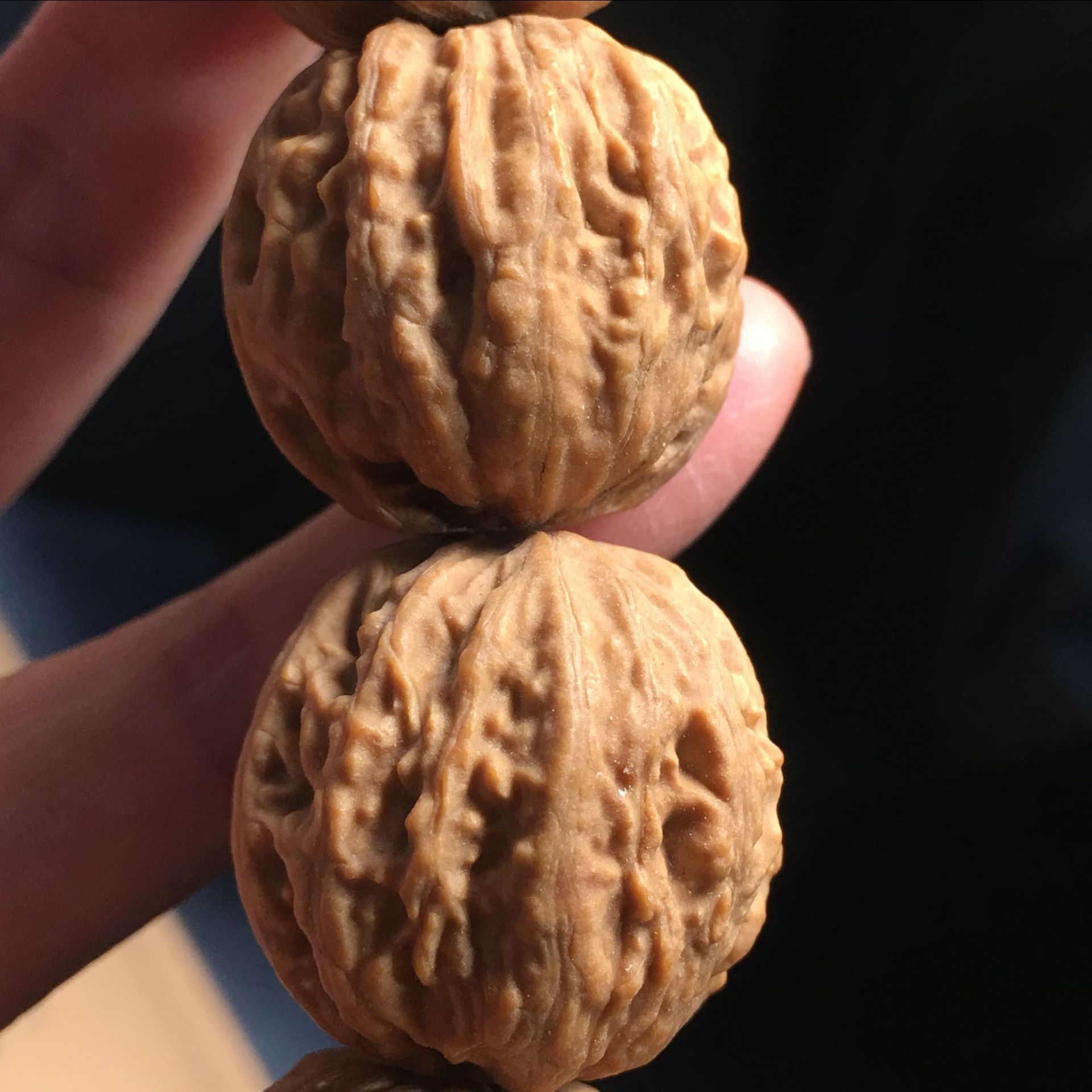 野生京八棱秋子小核桃手持 高密度粗纹 18颗 手串蛤蟆头26左右