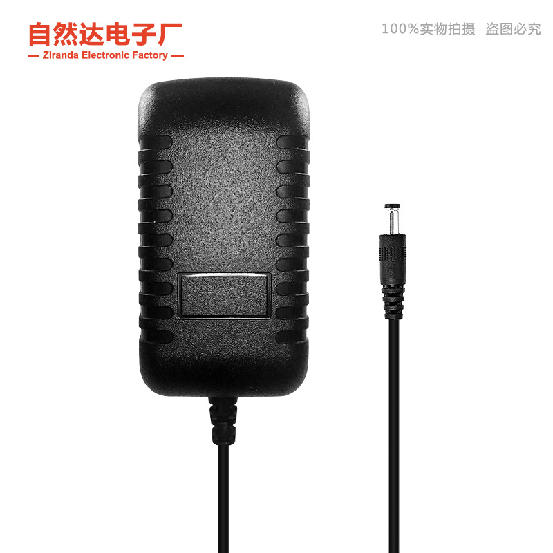 12v2a Power Adapter Security Surveillance Camera Massage Pillow Belt LED Light with Charger European and American Regulations