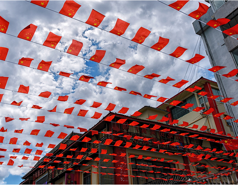 中国五星红旗小国旗串旗吊旗国庆礼品装饰挂旗 厂家批发国旗串旗