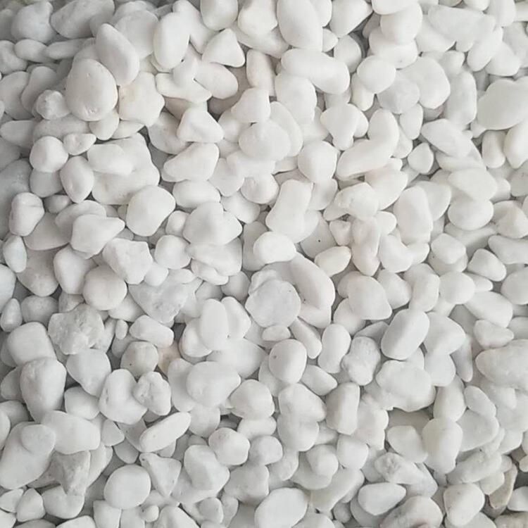 厂家供应黑石子 白石子 水磨石子 红石子 米黄石子 透水石子-报价