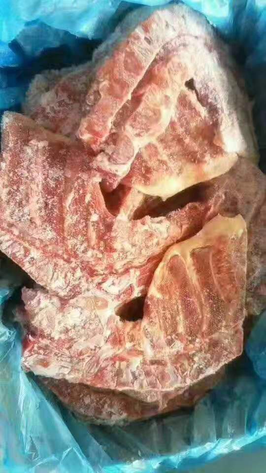 猪胫骨 猪脖骨新鲜冷冻火锅食材酒店 20斤 7个