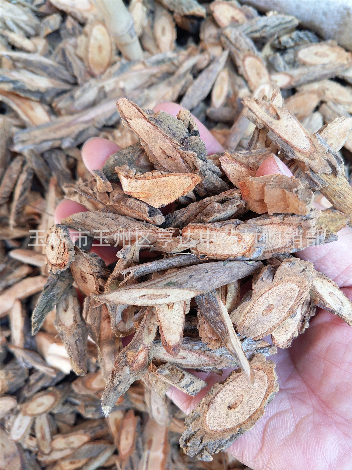 干品大茶根 断肠草根片 可打粉